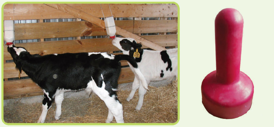 Cow Milking Feeding Rubber Teat