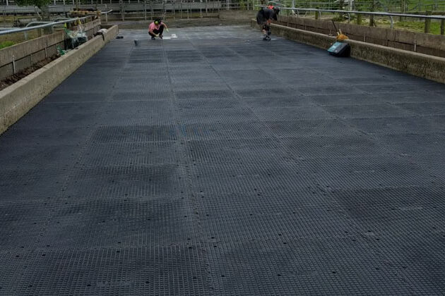 Cow Walkways Mats Alley Mats Manufacturers