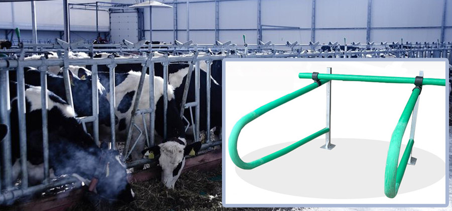 Cow Cubicles Manufacturers