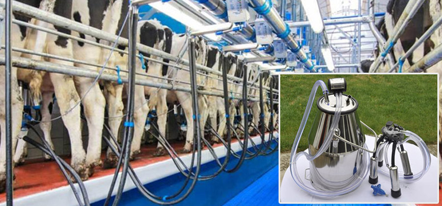 Milking Liner Manufacturers