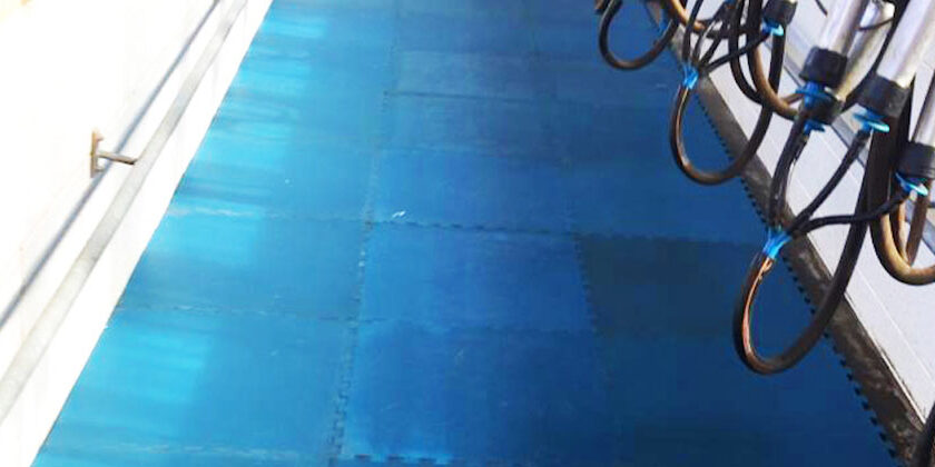 Milking Parlor Pit Mats