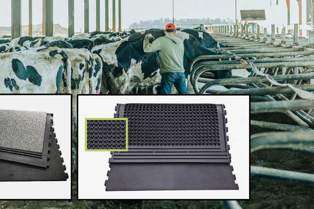 Cow Rubber Mats