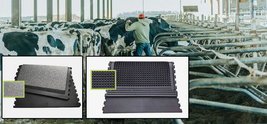 Cow Stall / Cubicle Mats