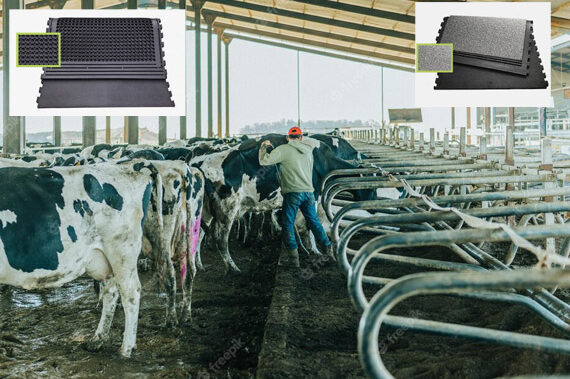 Cow Stall / Cubicle Mats