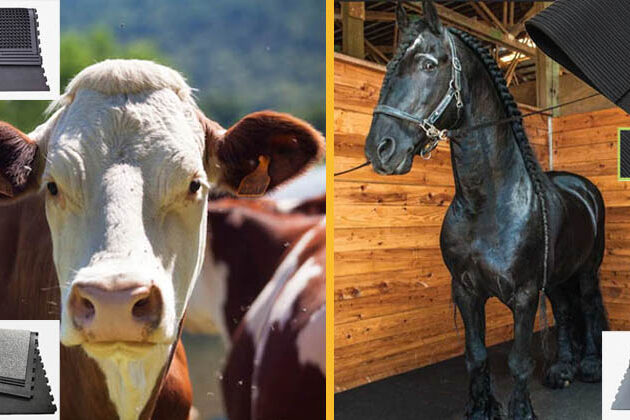 cows mats & horses mats