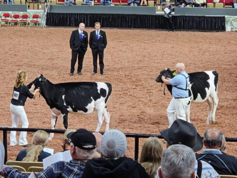 Kapoor Mats at World Dairy Expo