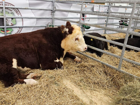 Kapoor Mats at EuroTier 2024