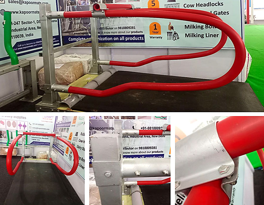 Flexible Cow Cubicles for dairy farm